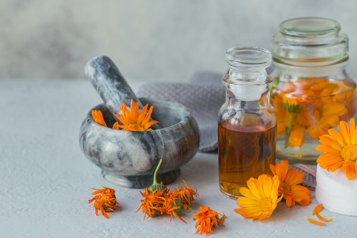 Santa Maria Della Salute SRL - Calendula
